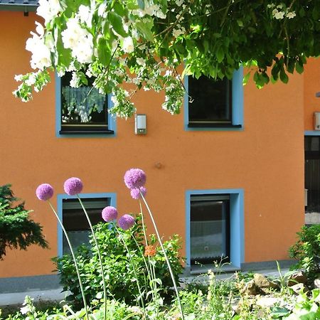 Ferienwohnung Zur Muehle Sotzweiler Экстерьер фото