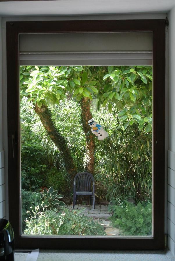 Ferienwohnung Zur Muehle Sotzweiler Экстерьер фото
