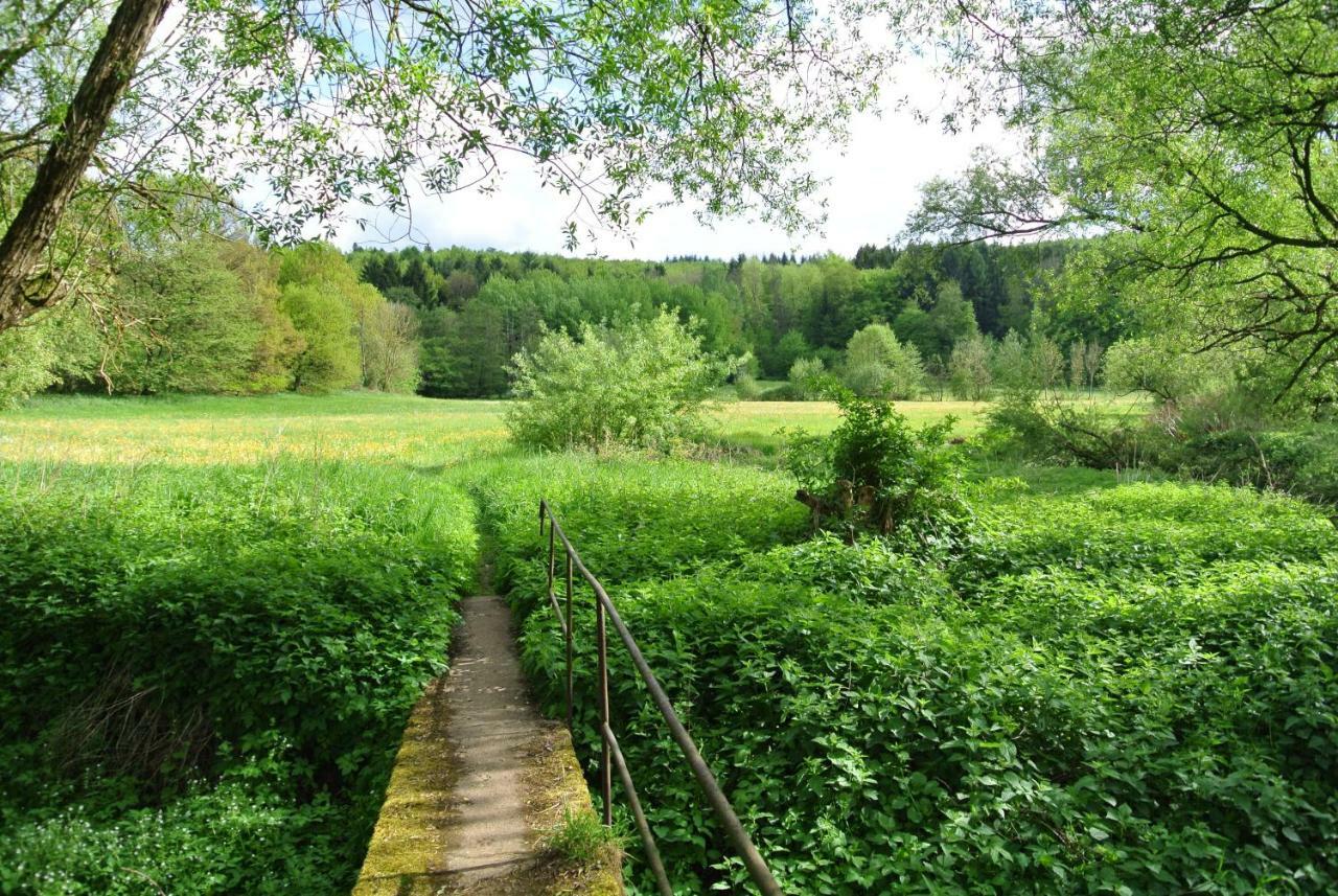 Ferienwohnung Zur Muehle Sotzweiler Экстерьер фото