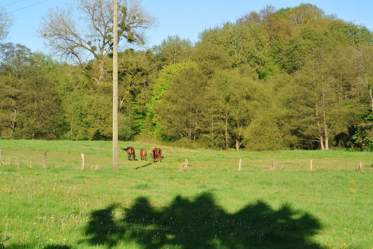 Ferienwohnung Zur Muehle Sotzweiler Экстерьер фото