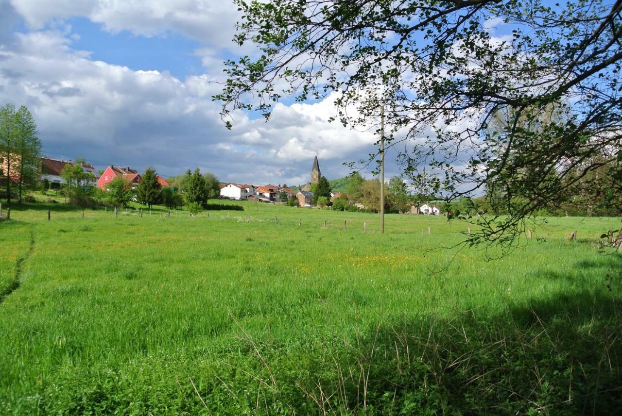 Ferienwohnung Zur Muehle Sotzweiler Экстерьер фото