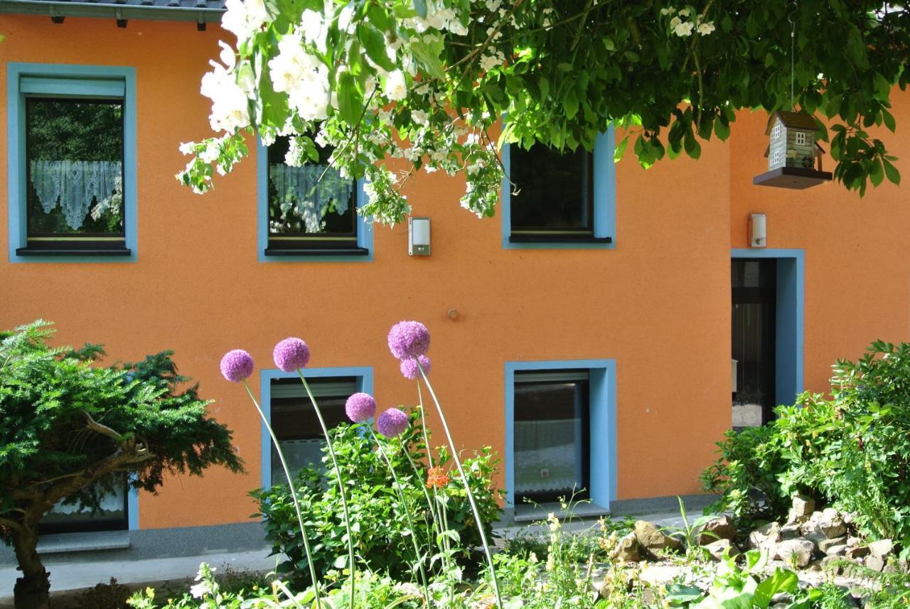 Ferienwohnung Zur Muehle Sotzweiler Экстерьер фото
